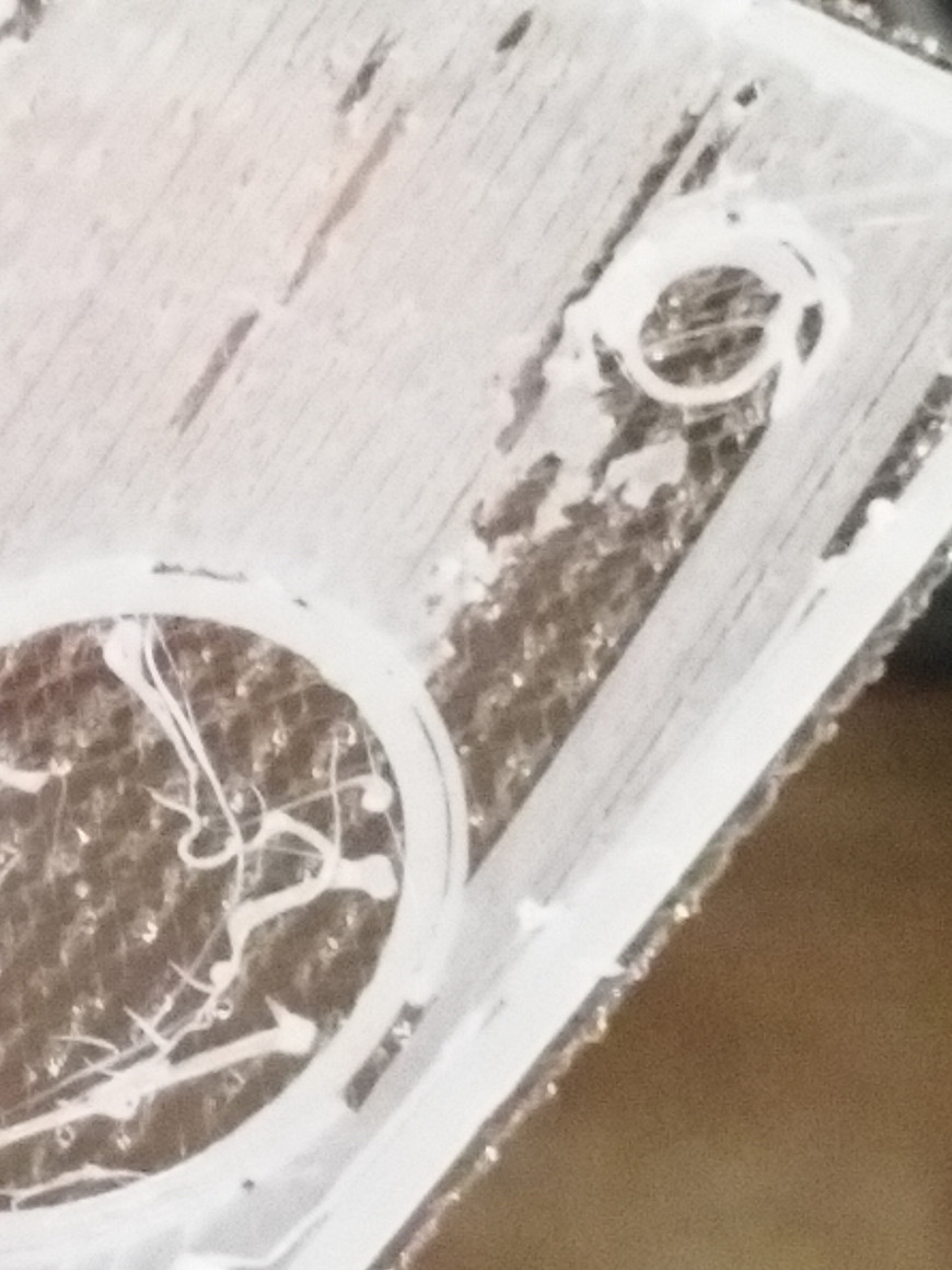Как не печатать PETG Как не печатать PETG