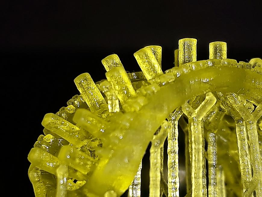 zWAX от UNIZ Пробная печать. UNIZ PLUS.