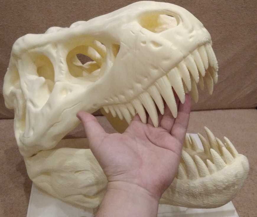 Здоровенный череп тиранозавра