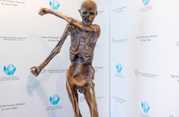 Мумию ледяного человека размножили при помощи 3D-принтера Мумию ледяного человека размножили при помощи 3D-принтера