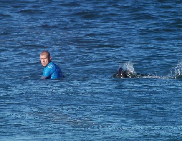 Вокруг света с 3Dtoday: цветная вакуумная формовка, 3D-печать в серфинге и другие новости недели!