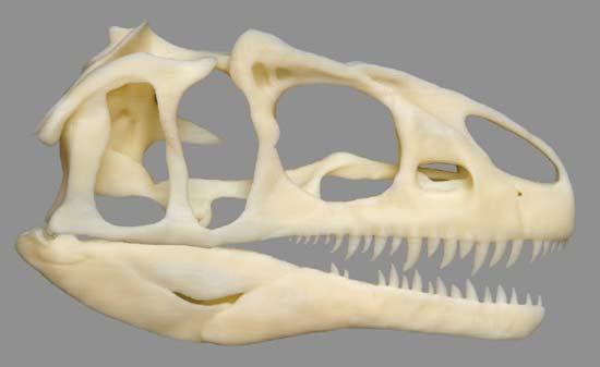 Палеонтологи напечатали на 3D-принтере копию костей дриозавра длиной 127 см