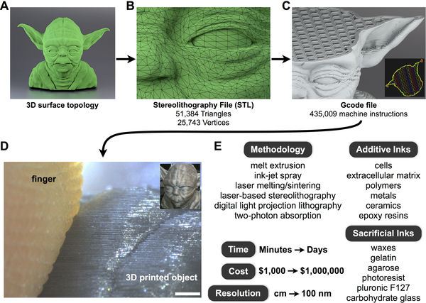 3D-биопечать: критический анализ