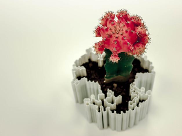 Дендриты - уникальные 3D-печатные цветочные горшки на основе алгоритмов