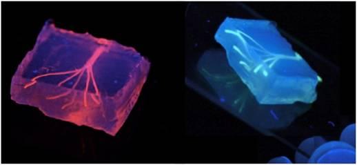 Исследователи ищут методы 3D-печати кровеносных сосудов