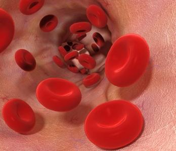 Исследователи ищут методы 3D-печати кровеносных сосудов