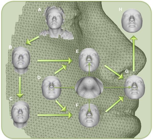 Новая технология позволяет создавать 3D-модель лица, основываясь на образцах ДНК