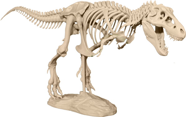 MakerBot предлагает напечатать модели скелета и черепа тираннозавра