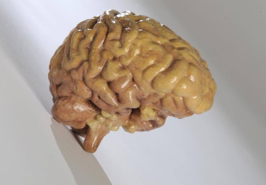 Компания Mcor Technologies получает 6,6 миллионов на разработку уникальной технологии печати