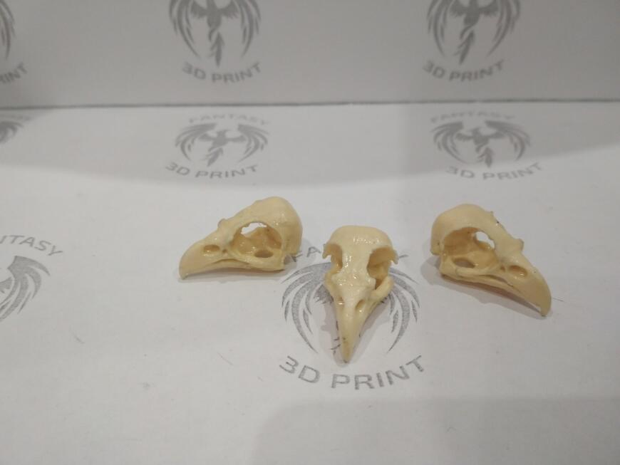 Соколиные черепа