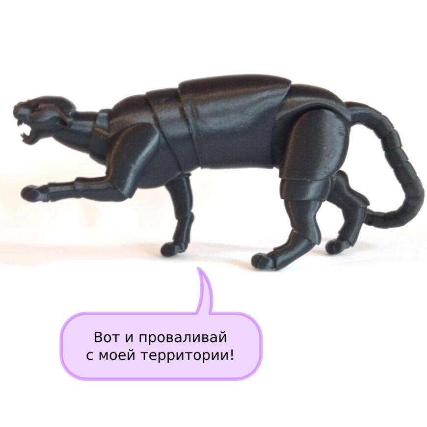 В мире животных