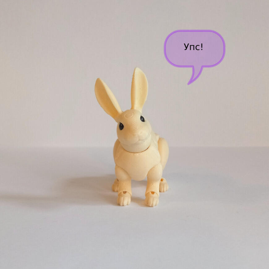 В мире животных