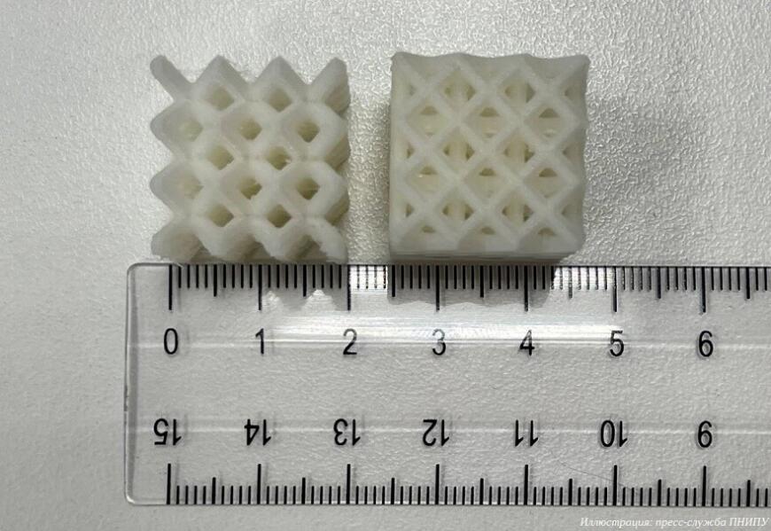 Пермские ученые определили оптимальную структуру 3D-печатных костных имплантатов