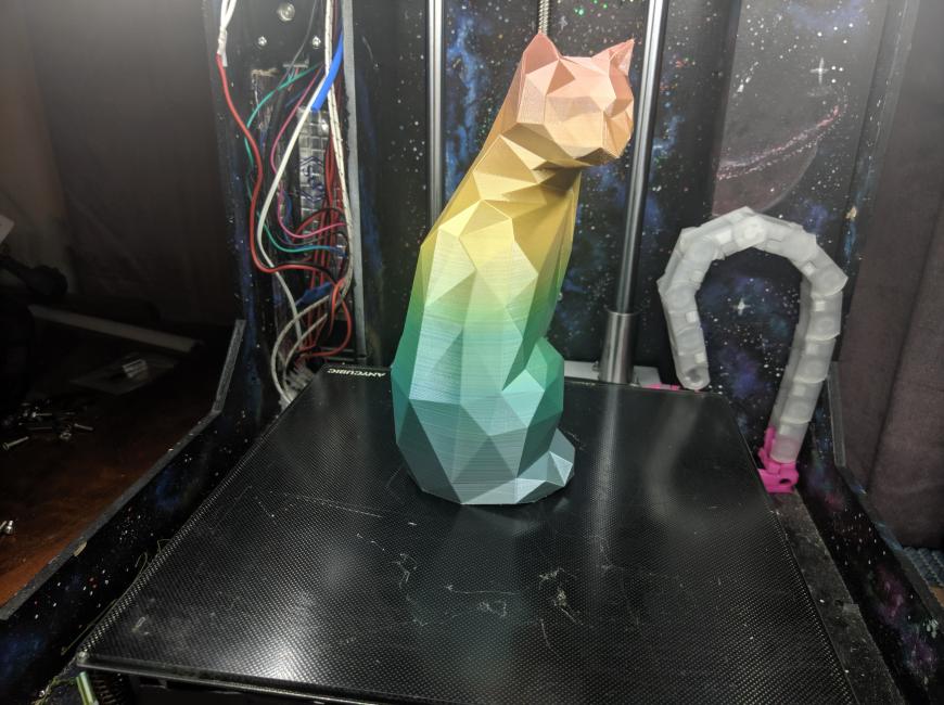 Радужная кошка