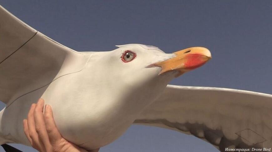 3D-печатные беспилотники от Drone Bird имитируют птиц