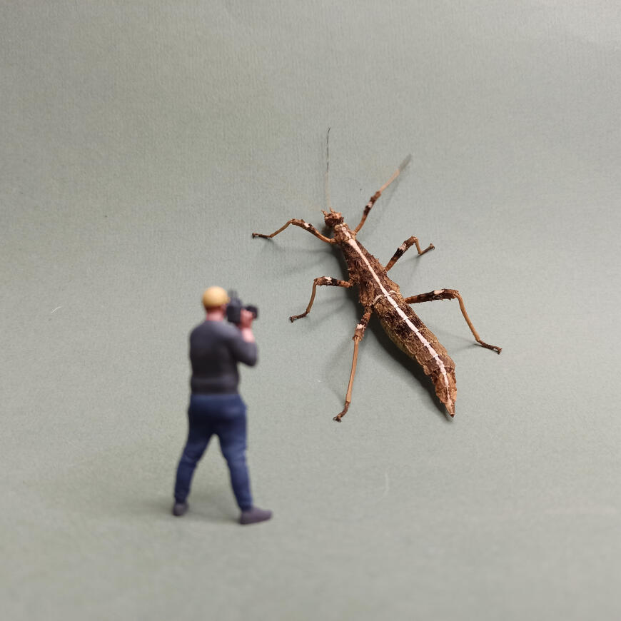 Новый, Новый,