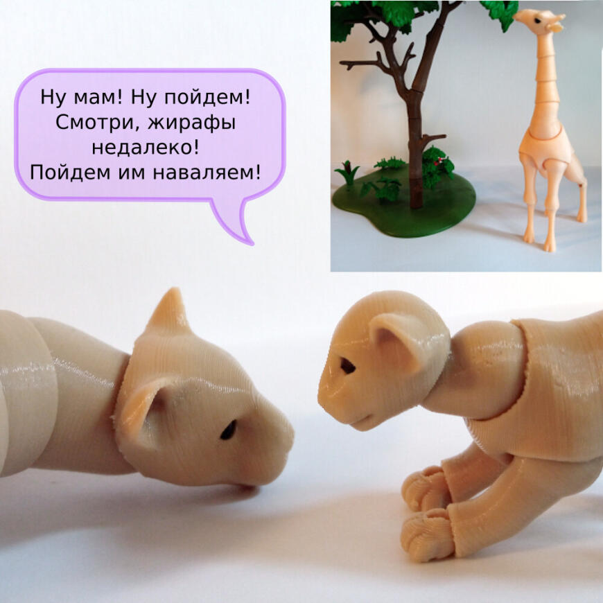 В мире животных