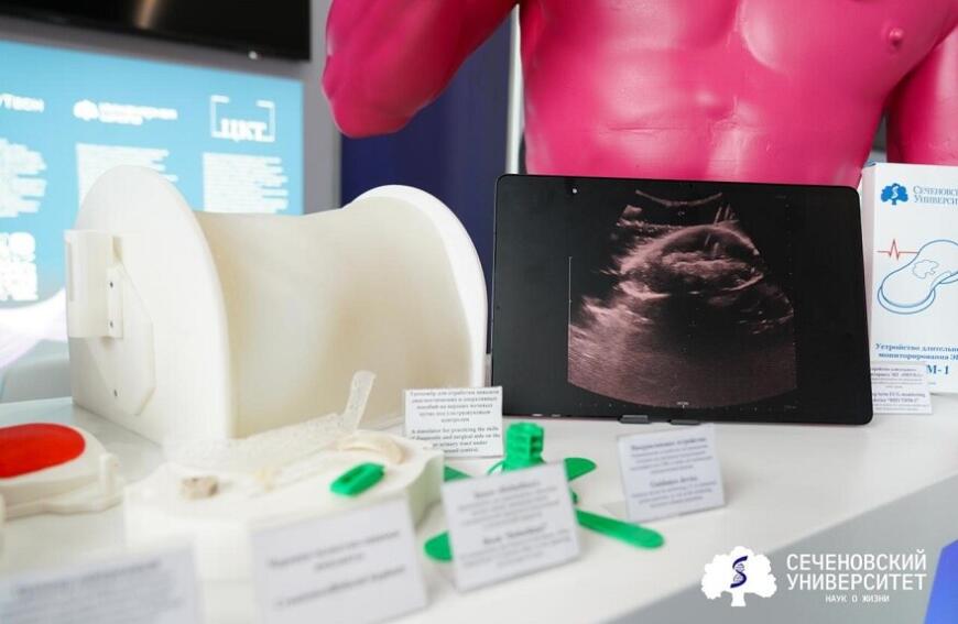 В Сеченовском университете разработали 3D-печатный фантом почки для обучения хирургов-урологов