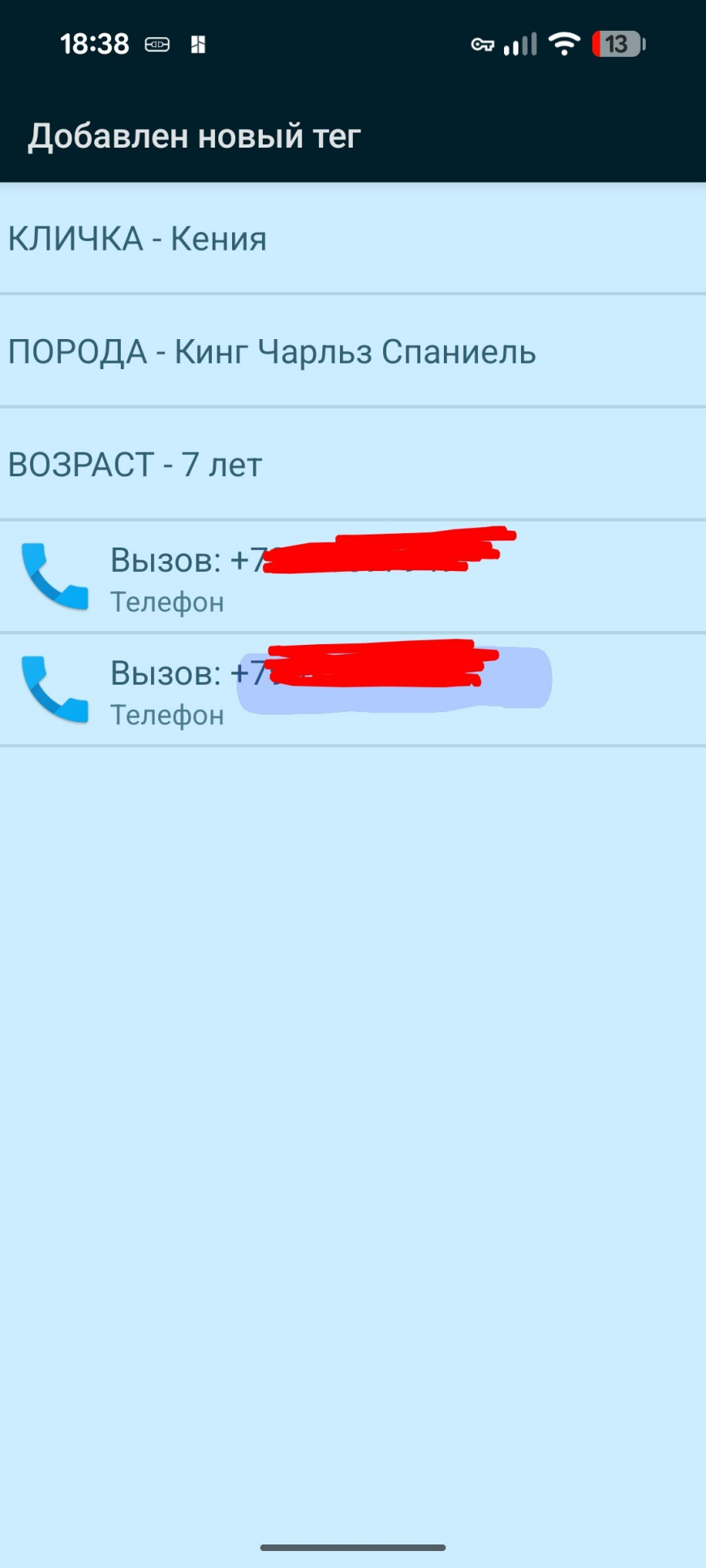 Печать двухцветного брелка в режиме паузы с установкой NFC-метки
