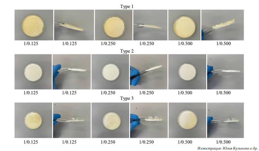 Ученые ПНИПУ и БФУ создают композиционные костные имплантаты