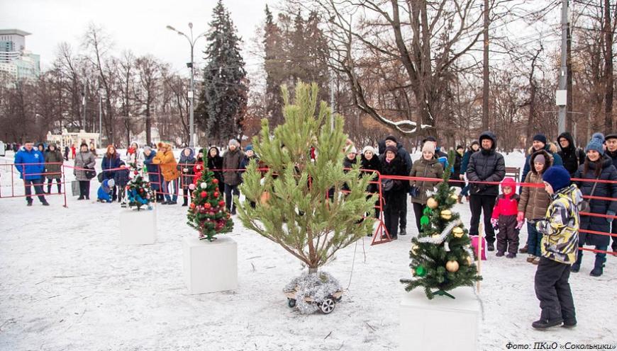 Новогодние елки посоревнуются на гоночной трассе в парке «Сокольники»