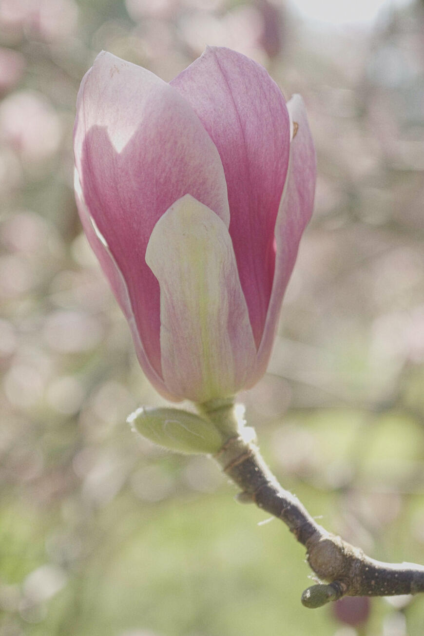 Миниатюрная копия 