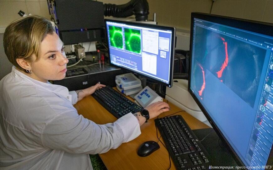 Российские ученые исследуют 3D-печатные регенеративные имплантаты
