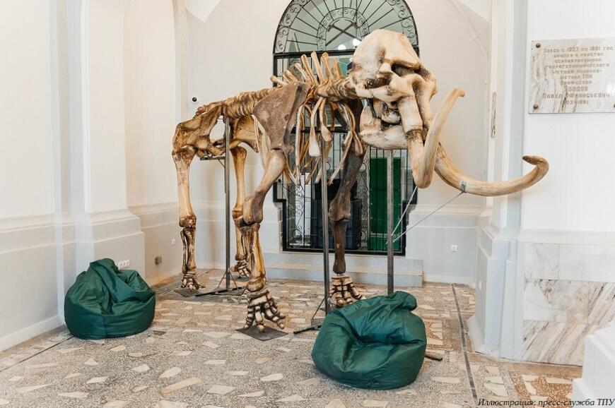 В Томском политехническом университете установили 3D-печатный скелет мамонта