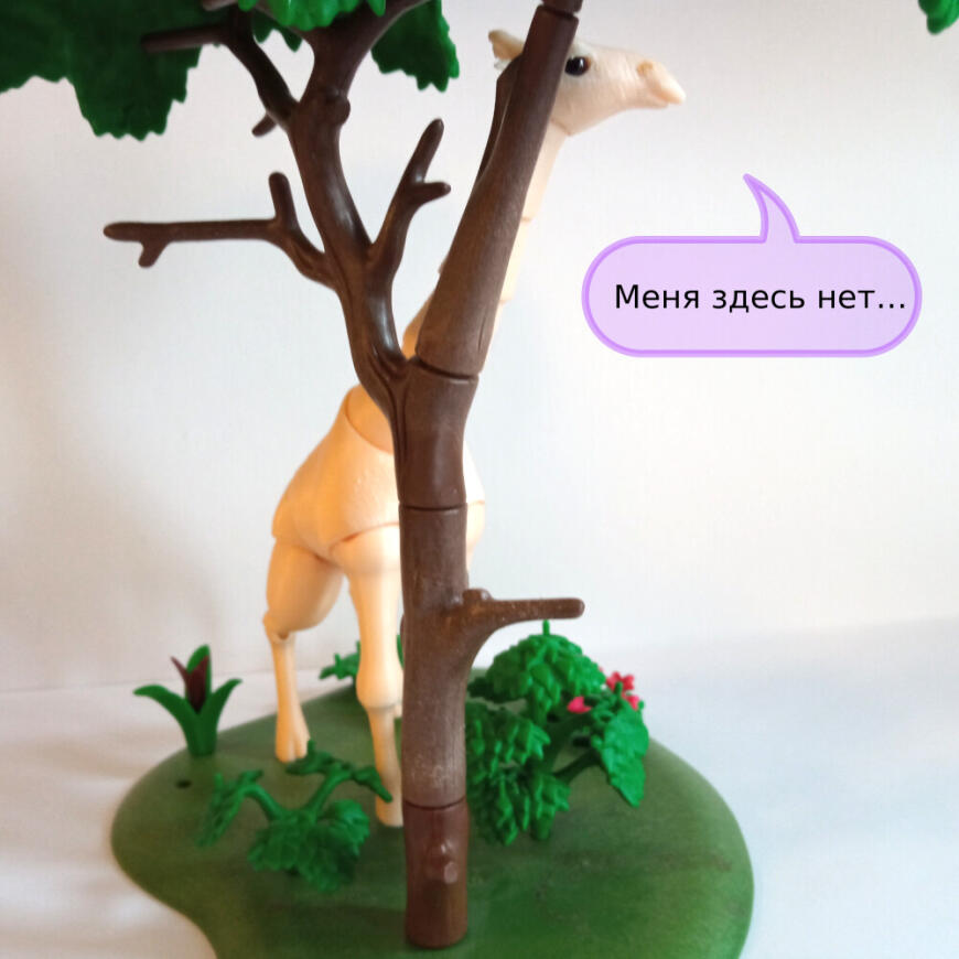 В мире животных