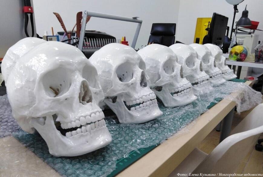 Новгородская компания «Анатомическое проектирование» освоила выпуск 3D-печатных анатомических моделей