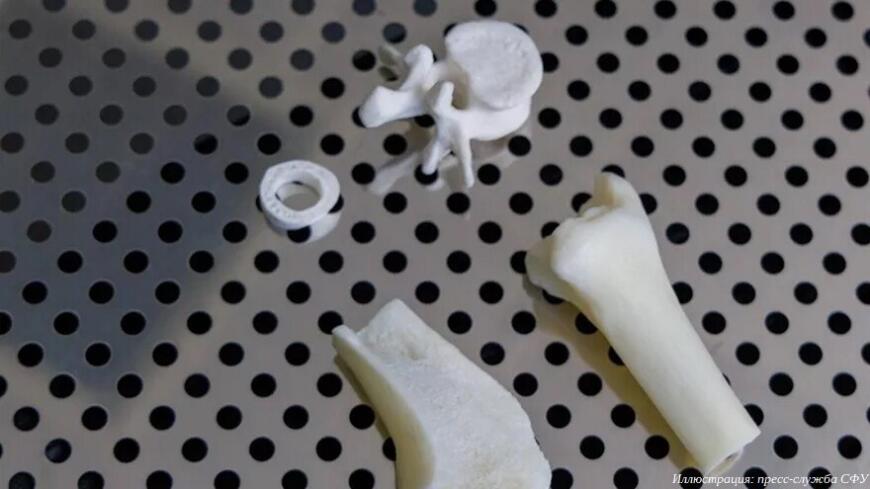 Ученые СФУ создают костные имплантаты из пищевых отходов Ученые СФУ создают костные имплантаты из пищевых отходов