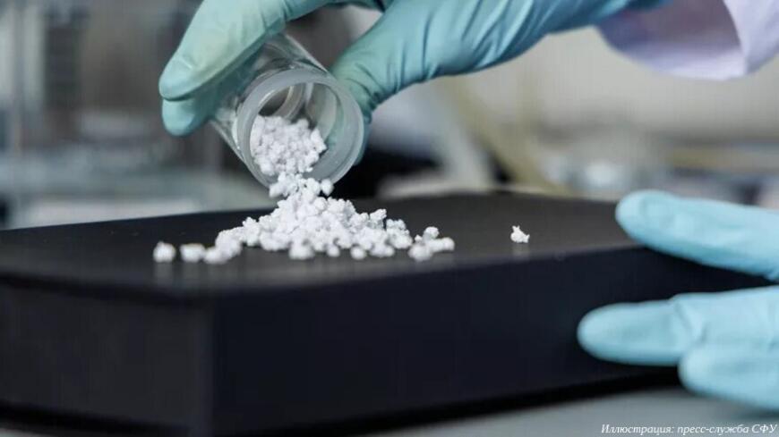 Ученые СФУ создают костные имплантаты из пищевых отходов Ученые СФУ создают костные имплантаты из пищевых отходов