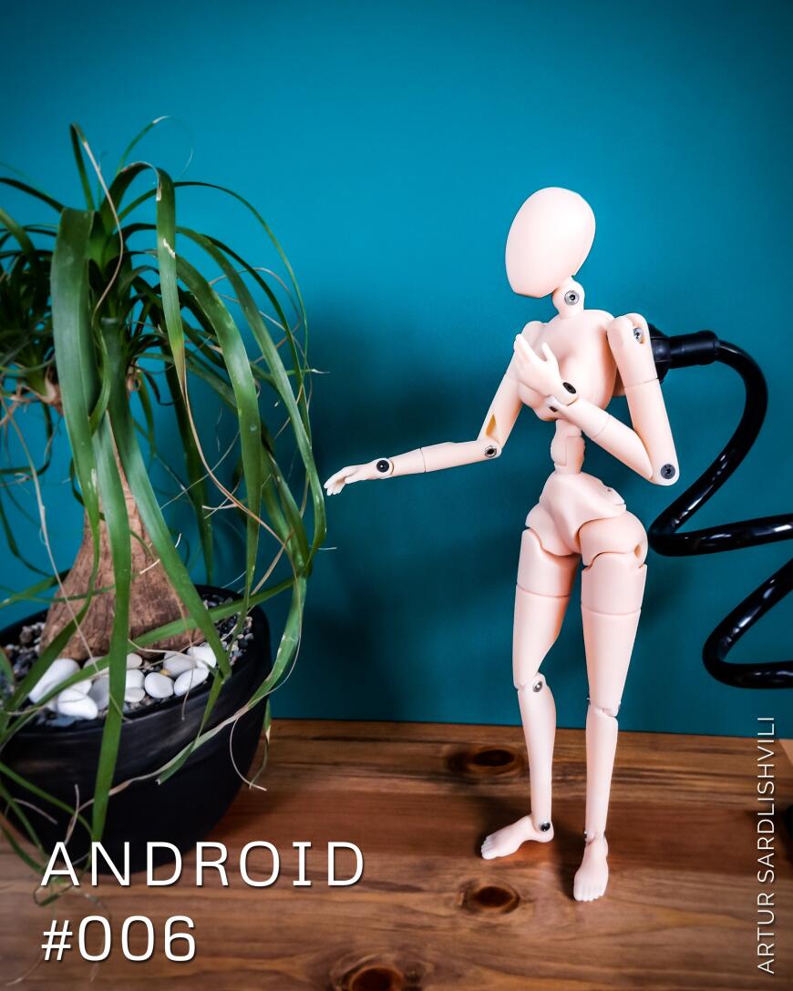 Манекен номер 006