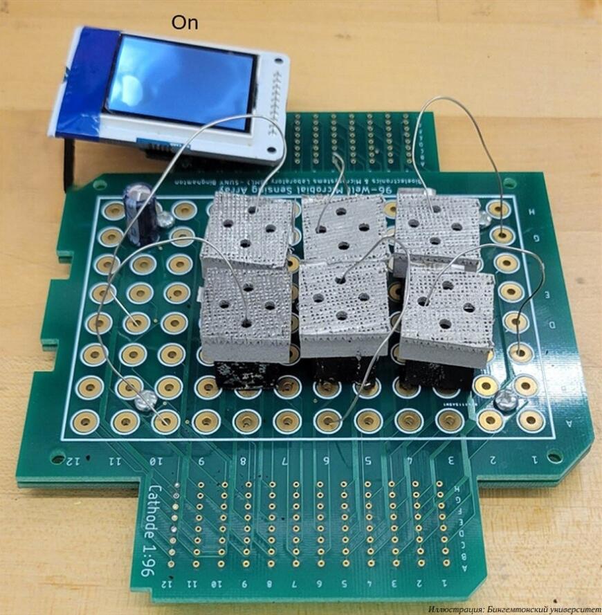 Американские ученые создали электрические батареи с бактериями Американские ученые создали электрические батареи с бактериями