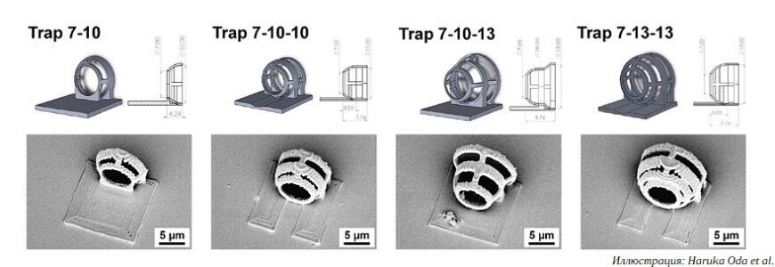 Японские ученые создали 3D-печатных микророботов на водорослевой тяге