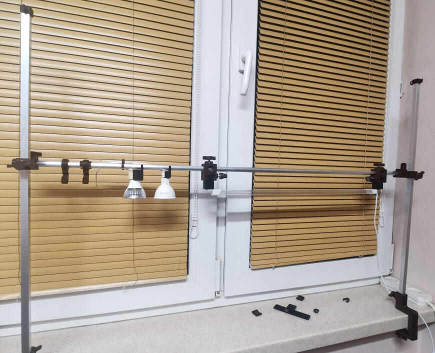 Время рассады! И света для нее.