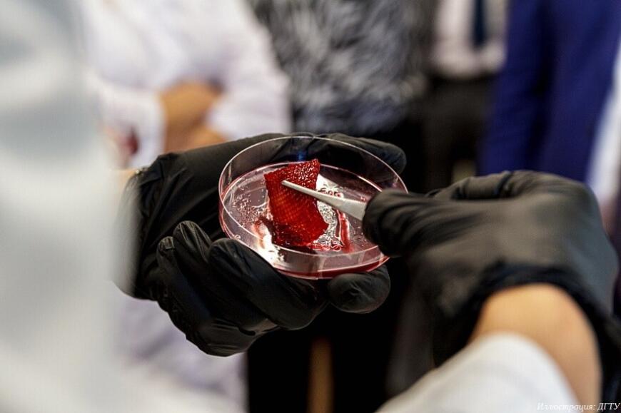 В ДГТУ исследуют 3D-биопечать мясных продуктов