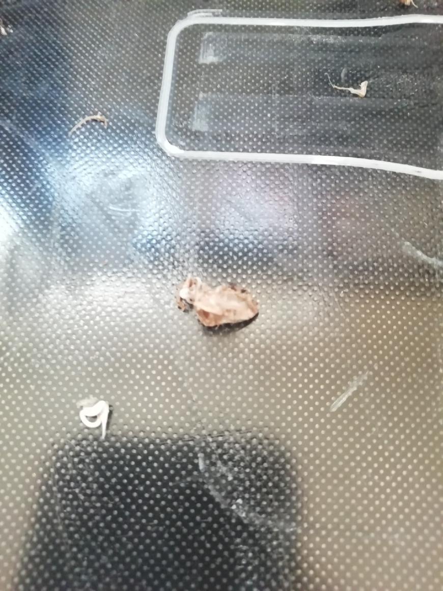 горелый пластик из сопла