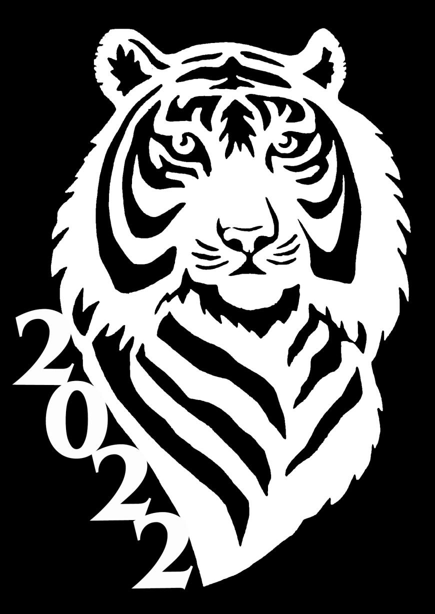 Просто Тигр-2022