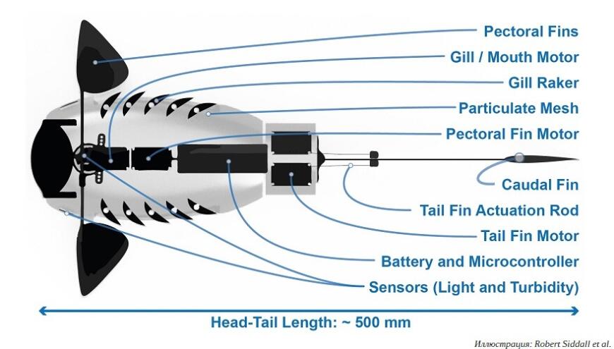 В Университете Суррея сконструировали 3D-печатную роборыбу для сбора микропластика