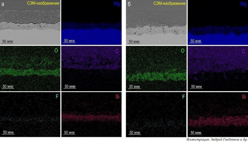 Во Владивостоке разработали защитное покрытие для биоразлагаемых магниевых имплантатов