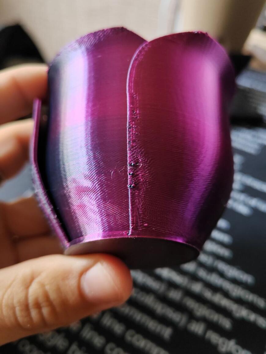 FLSUN SR нечеткие контуры модели