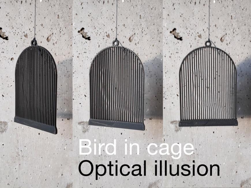 Птичка в клетке. Оптическая иллюзия