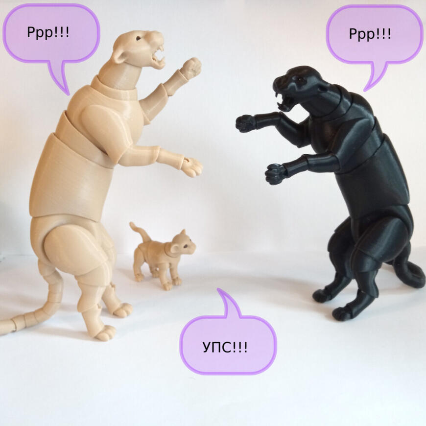 В мире животных