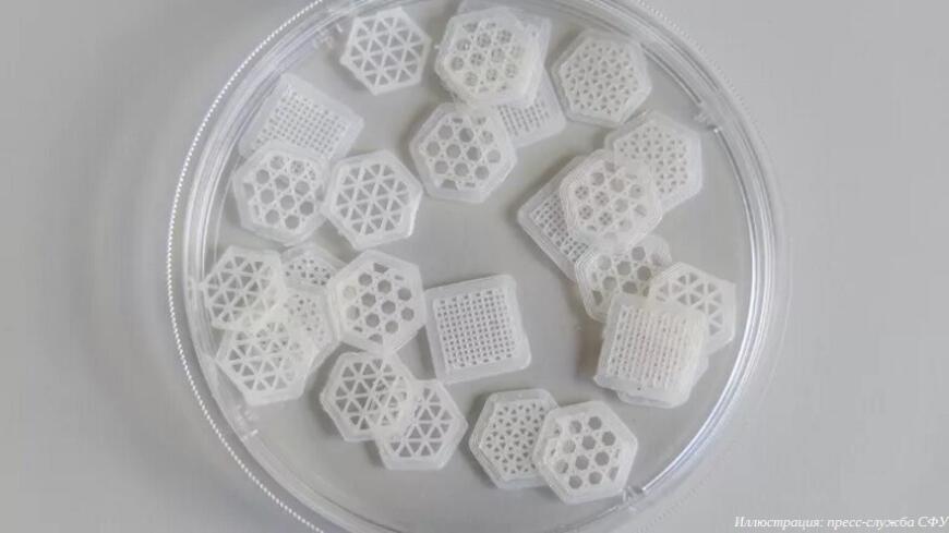 Ученые СФУ создают костные имплантаты из пищевых отходов Ученые СФУ создают костные имплантаты из пищевых отходов