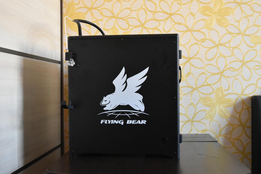 Обзор большого, солидного 3D-принтера Flyingbear Reborn, а также курс молодого бойца для начинающих
