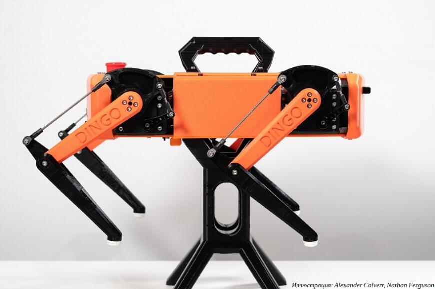 Австралийские студенты создали бюджетный аналог робособаки Spot