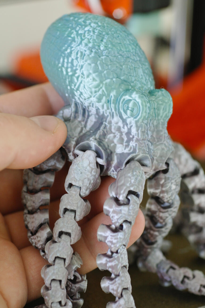 Разноцветный осьминог