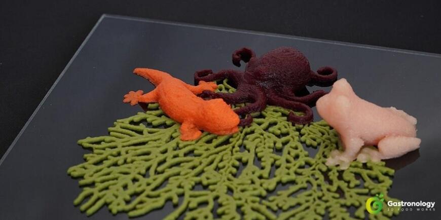 Нидерландская компания Gastronology развивает 3D-печать овощными, мясными и рыбными пюре