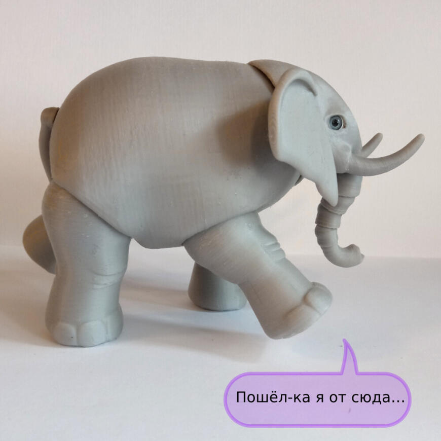 В мире животных